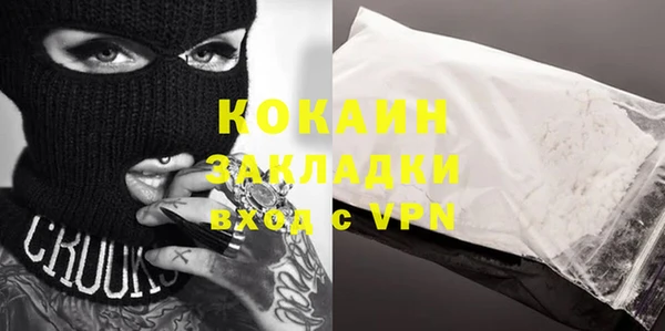 индика Алексин
