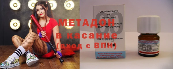 индика Алексин