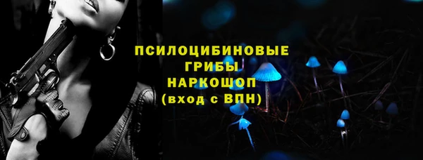 прущий лед Абаза