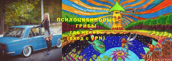 скорость Алзамай