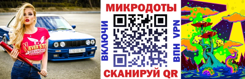 купить наркоту  Лабинск  Галлюциногенные грибы Psilocybe 